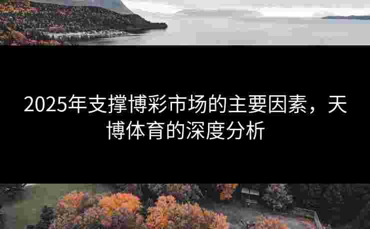 2025年支撑博彩市场的主要因素，天博体育的深度分析