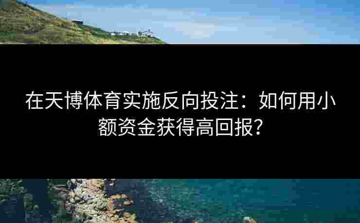 在天博体育实施反向投注：如何用小额资金获得高回报？